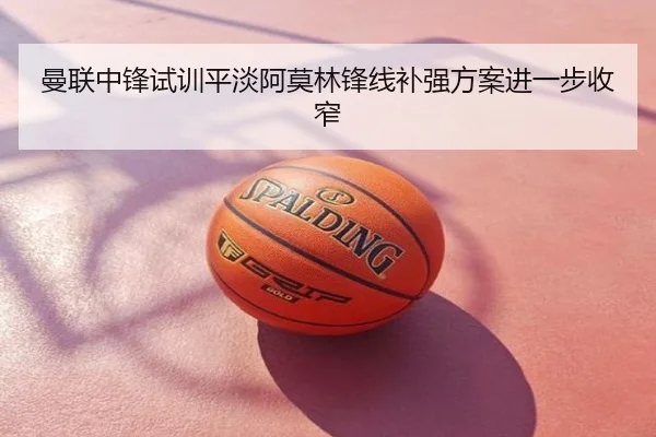 曼联中锋试训平淡阿莫林锋线补强方案进一步收窄